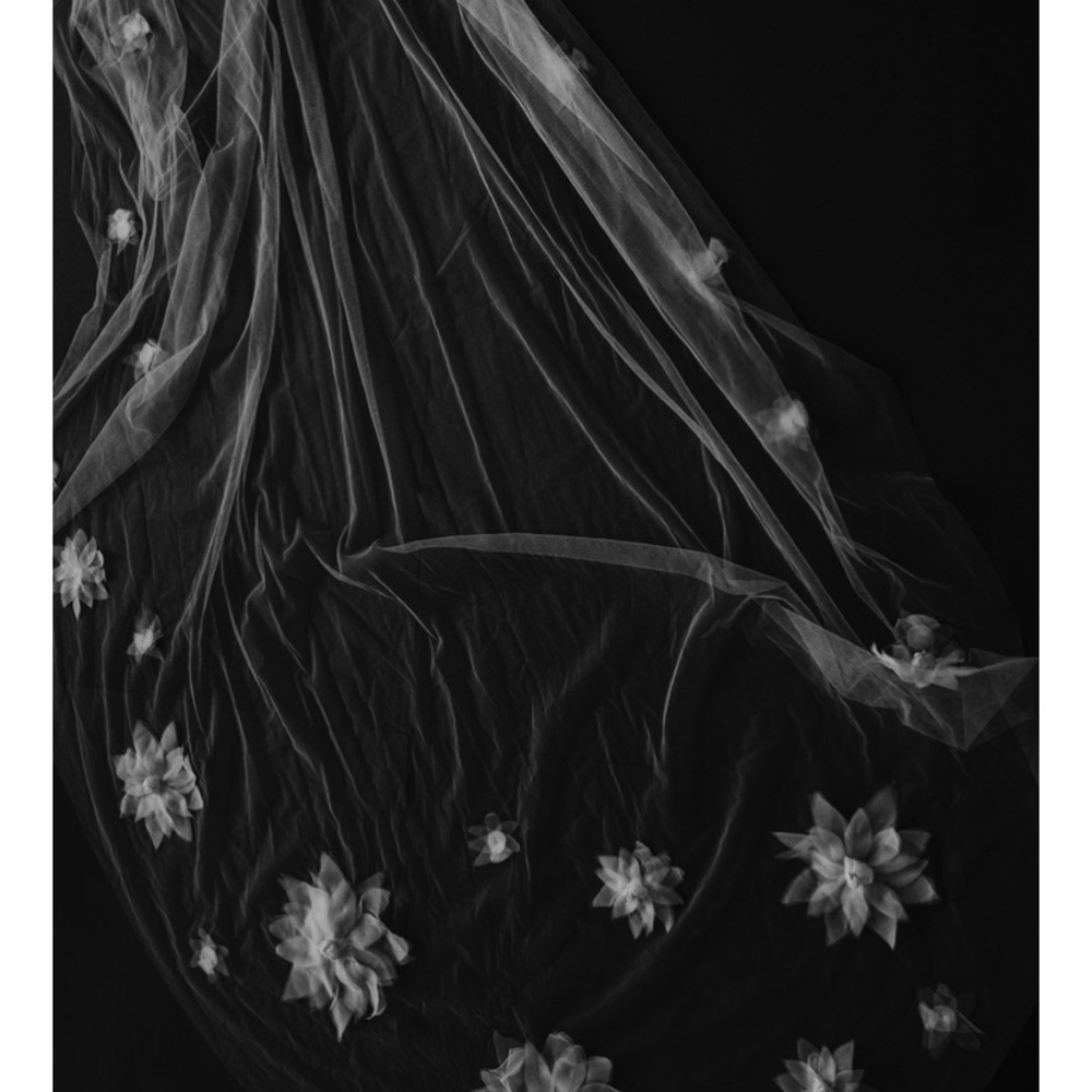 A. B. Ellie Cathedral Lilly Silk Veil
